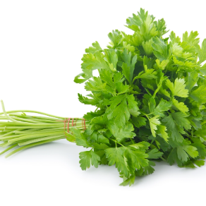 Fruteria Asunción - x Logo