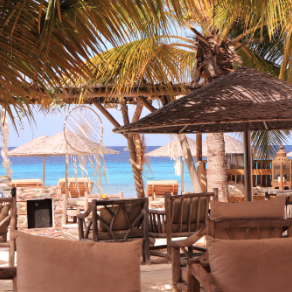 Playa Santa Beach Club - x Logo