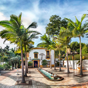 Jardín Botánico Molino de Inca - x Logo