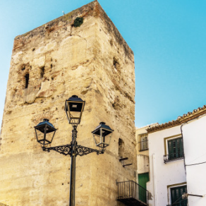 Torre Pimentel -x Logo