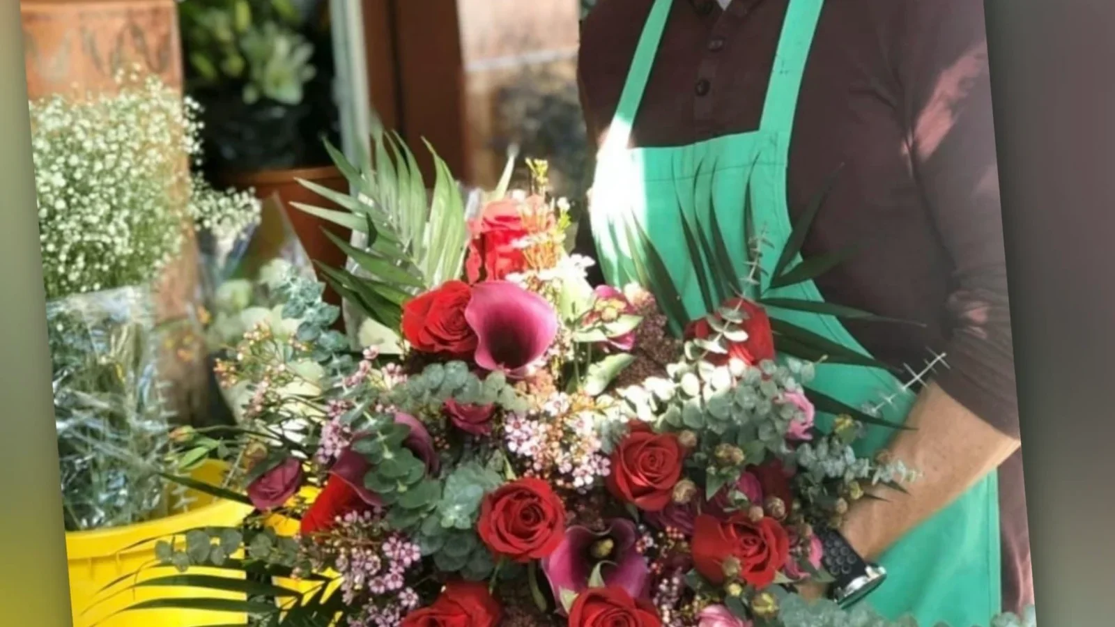 Con nuestro gran surtido de flores navideñas.
Os deseamos Felices fiestas!!!