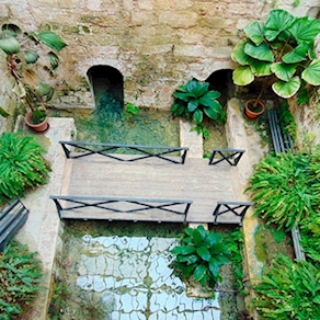 Visita guiada Jardín Botánico