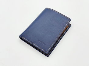 CARTERA MODELO MARISMA 2